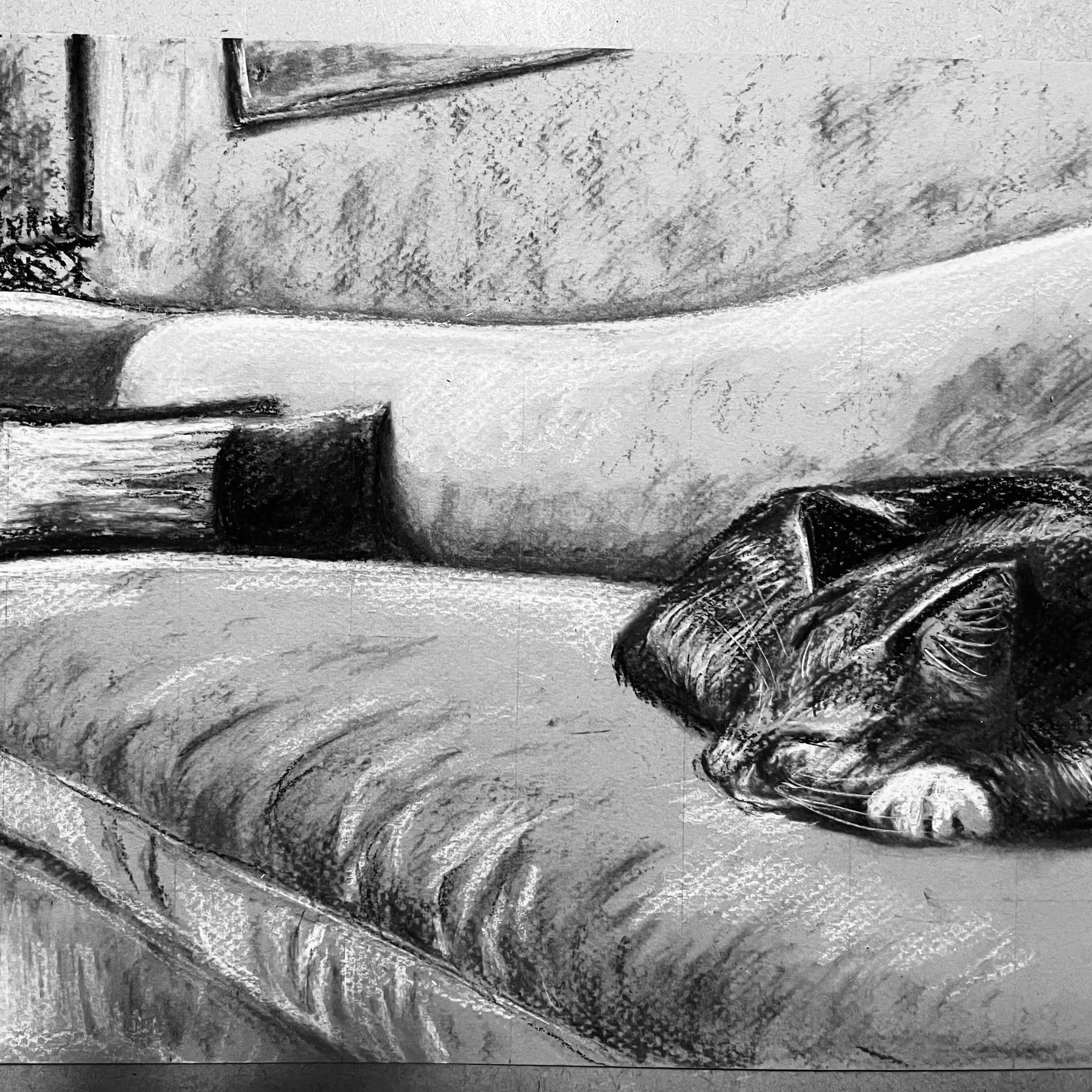 Charcoal drawing of a cat sleeping on a sofa