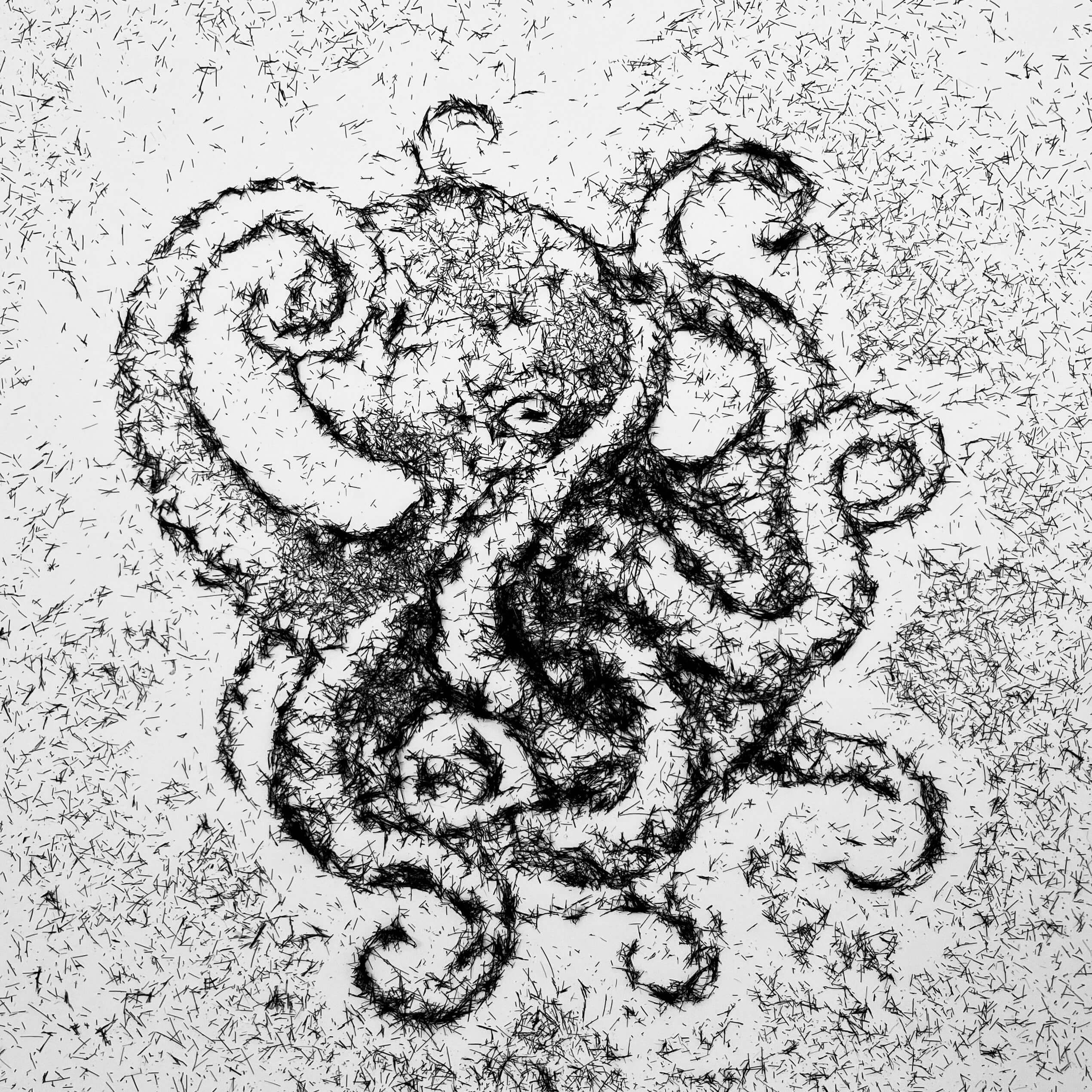 Ink drawing of an octopus